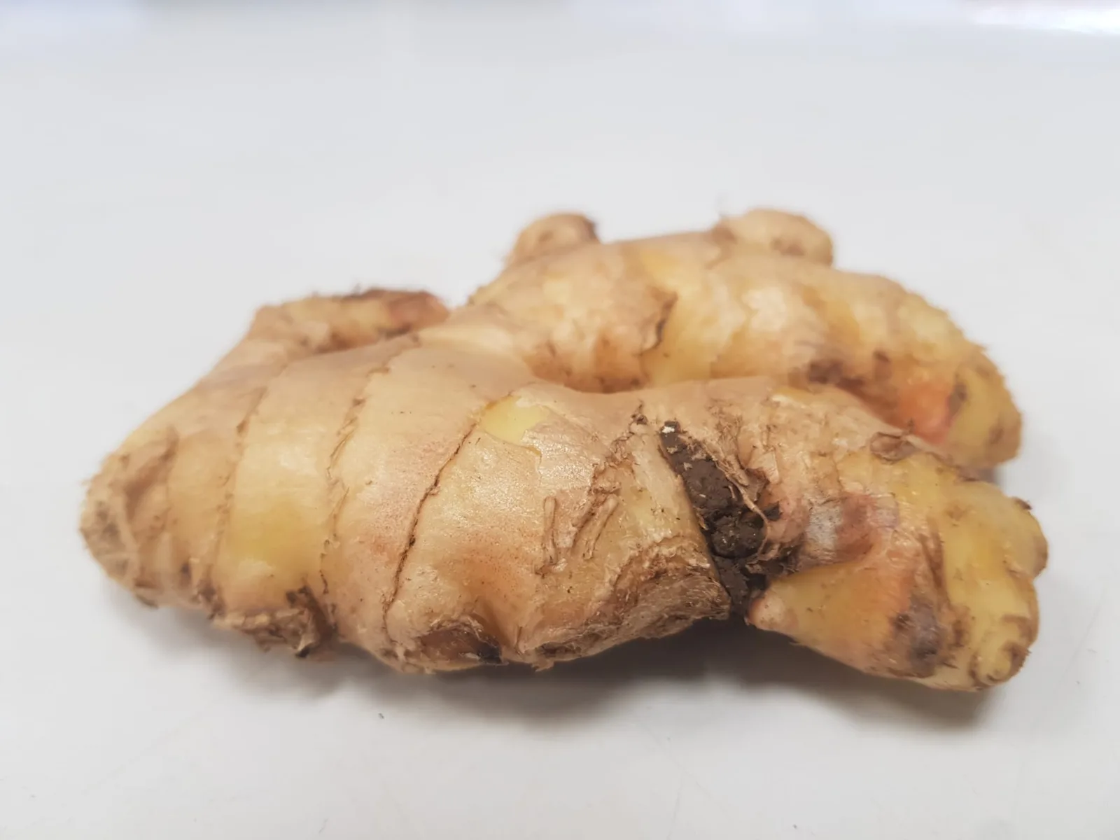 Gingembre frais