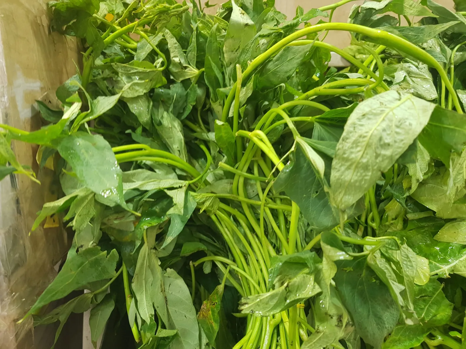 feuille de patate/matembele